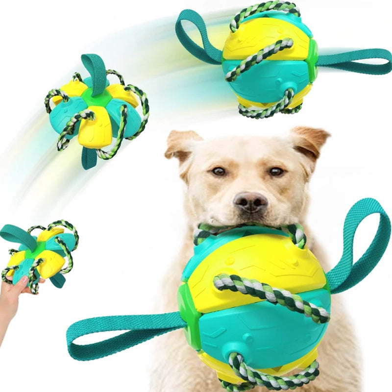 Balle UFO à mâcher pour chien