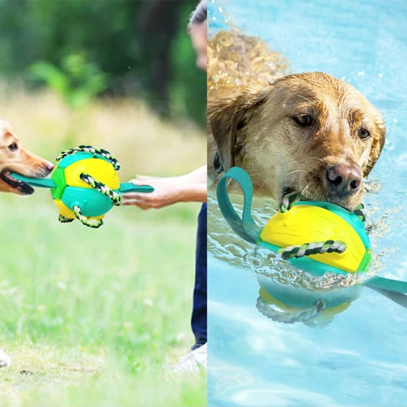 Balle UFO à mâcher pour chien