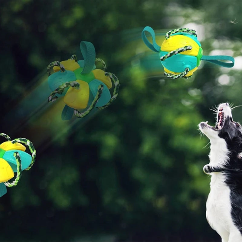 Balle UFO à mâcher pour chien