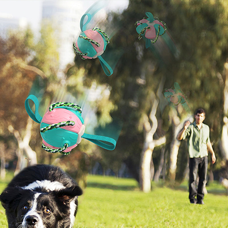 Balle UFO à mâcher pour chien