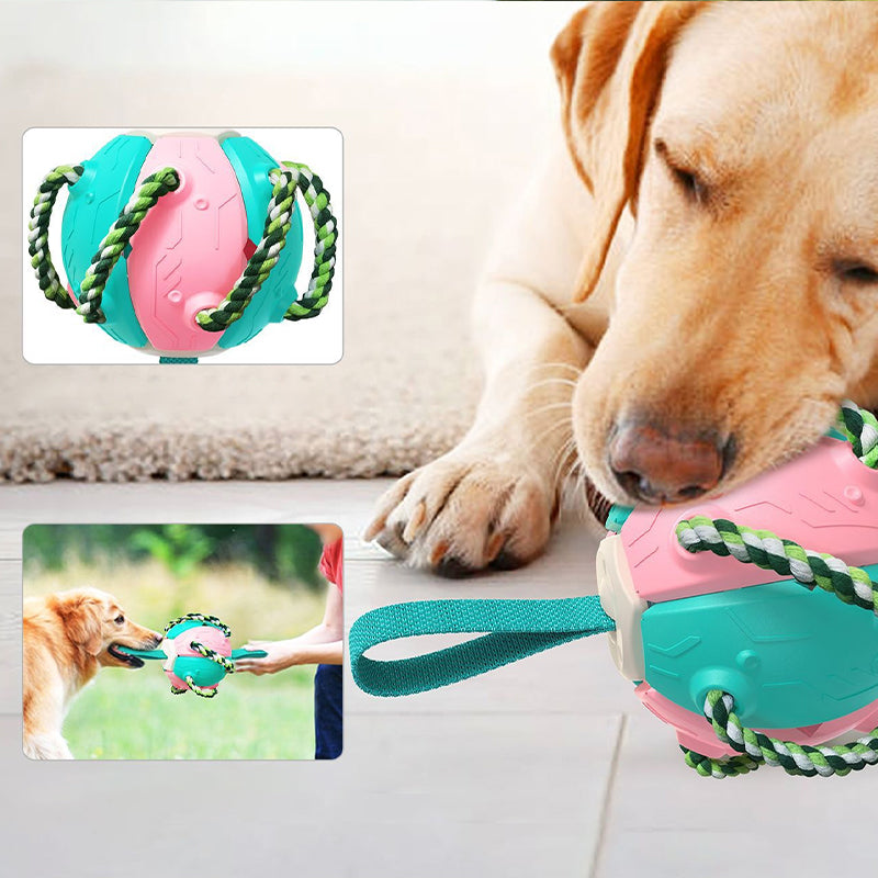 Balle UFO à mâcher pour chien