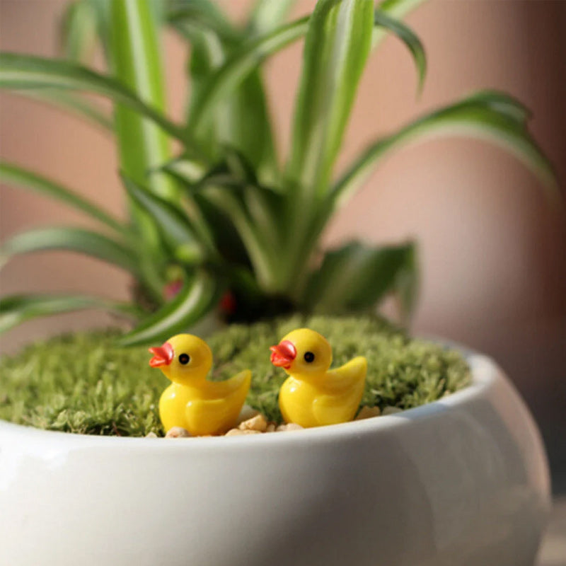 Petits canards en résine