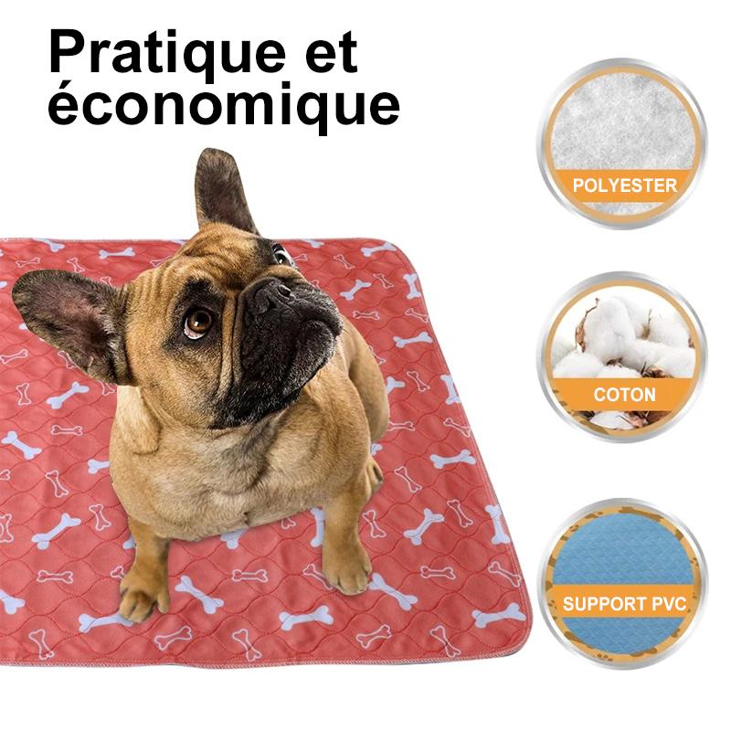 Tapis Imperméable Lavable Pour Chien