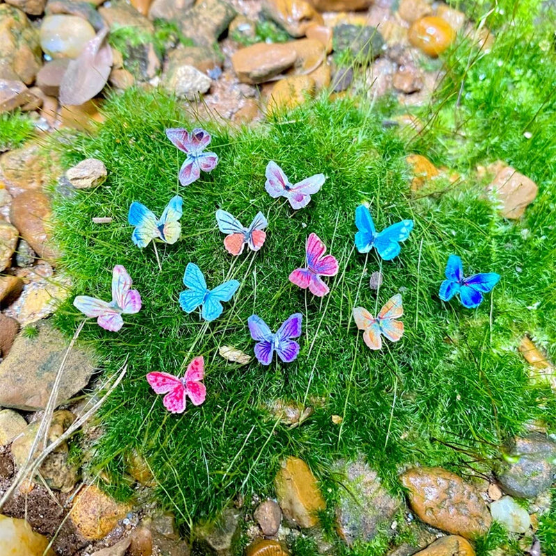 Papillons miniatures