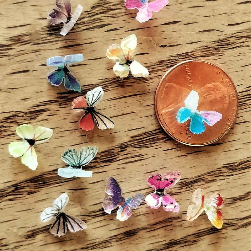 Papillons miniatures