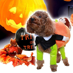 🎃Costume d'Halloween de citrouille pour chien de compagnie🎃
