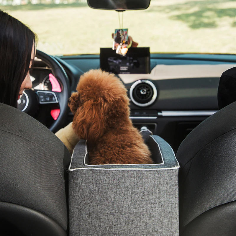 Siège Auto pour Animaux de Compagnie