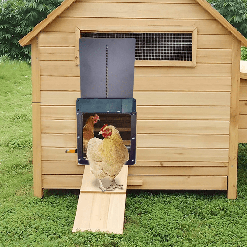 🐓Porte de poulailler automatique