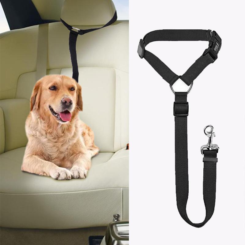 Laisse Réglable pour Chien Fixable sur le Siège Auto