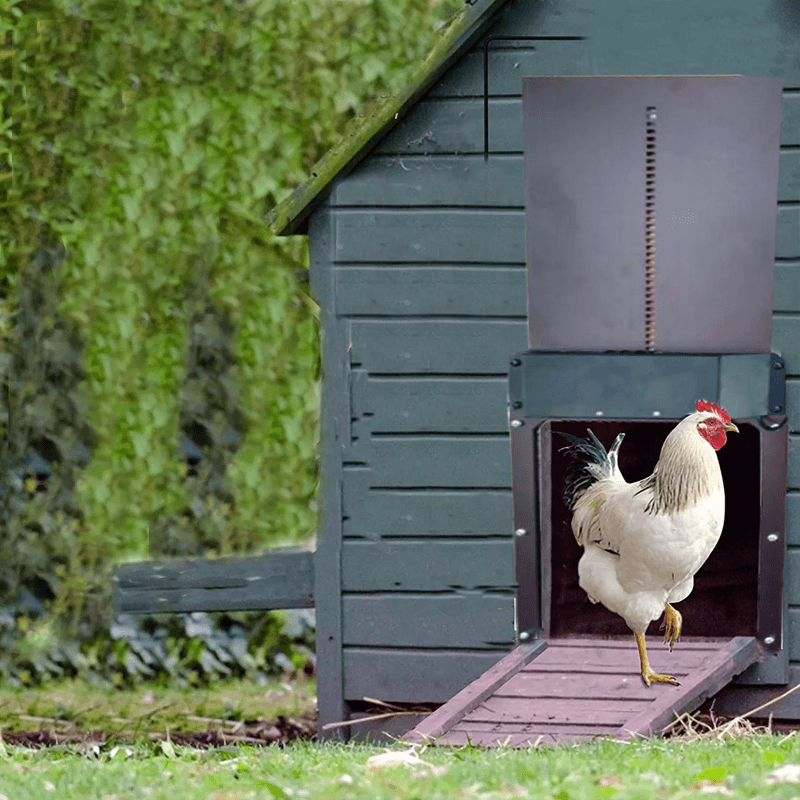 🐓Porte de poulailler automatique
