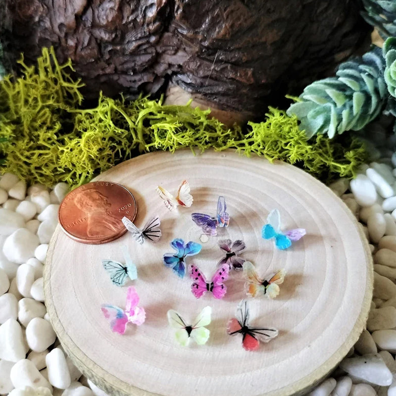 Papillons miniatures